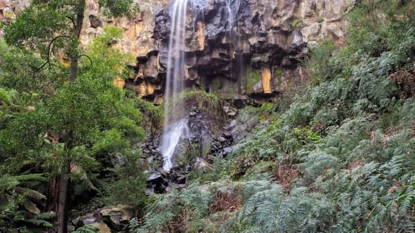 water falls between green trees during daytime