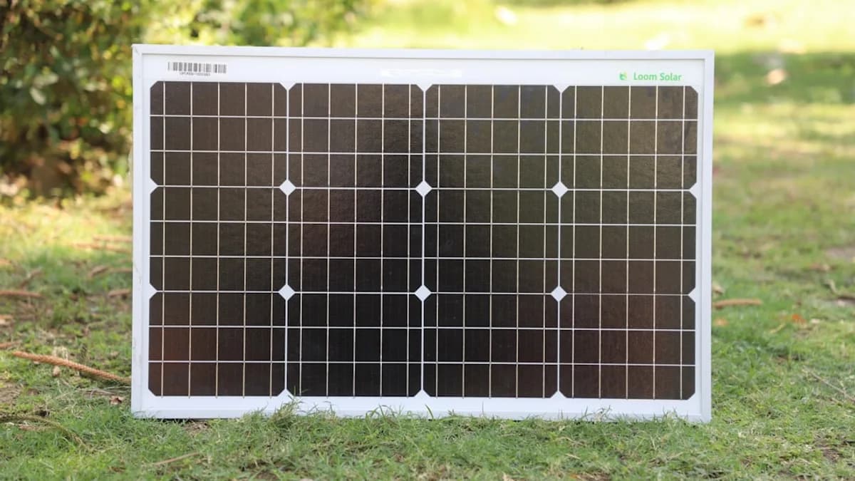 white and black board on green grass during daytime