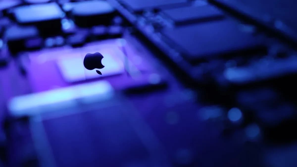 purple and black computer keyboard
