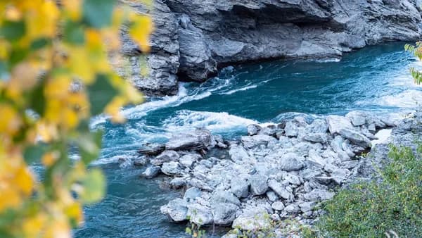 a river with rocks and plants