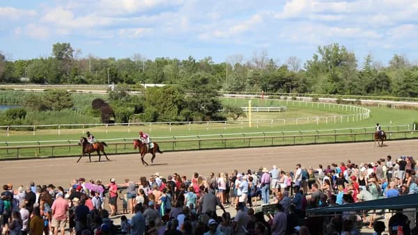people watching horse race at daytime