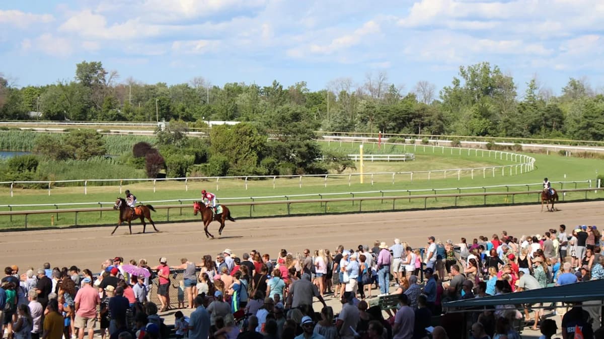 people watching horse race at daytime