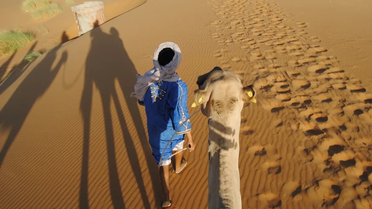 a man and a woman walking in the desert with a camel
