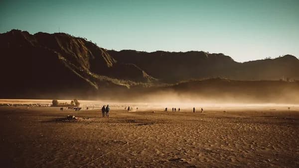 people walking on beach shore during daytime