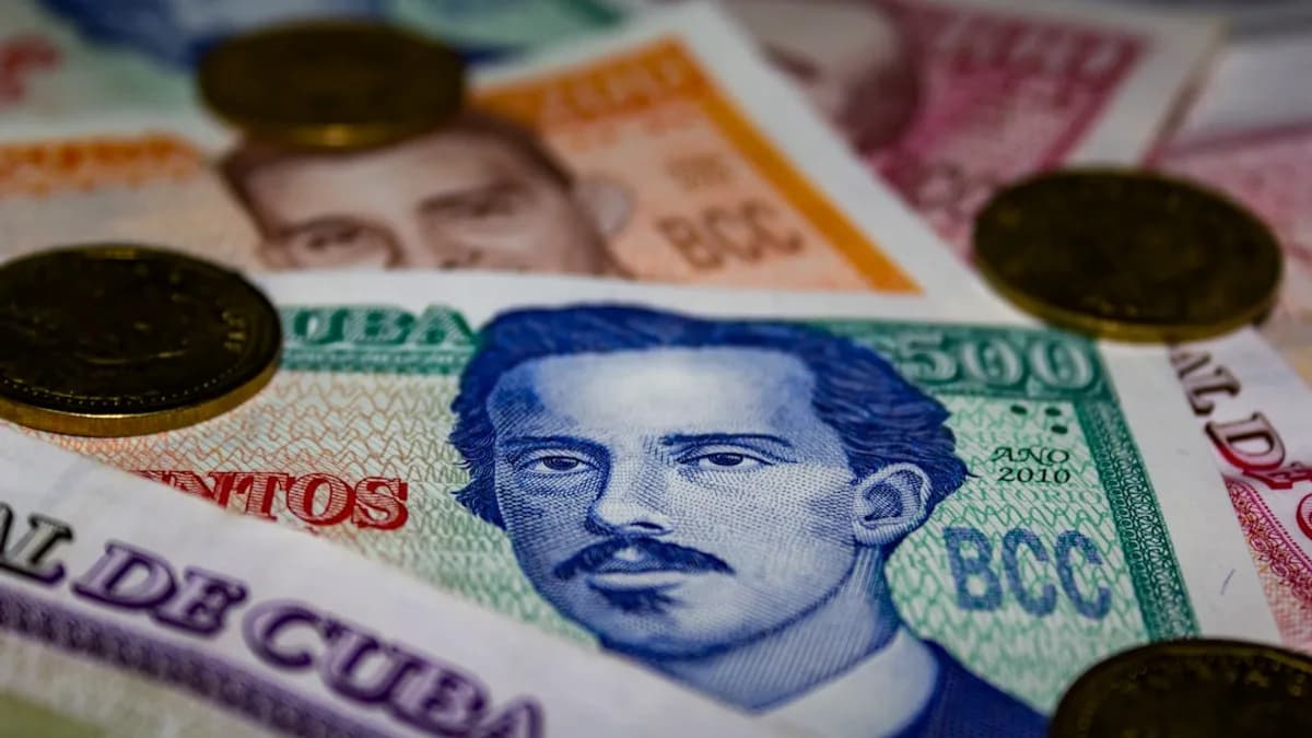 20 banknote on white and blue textile