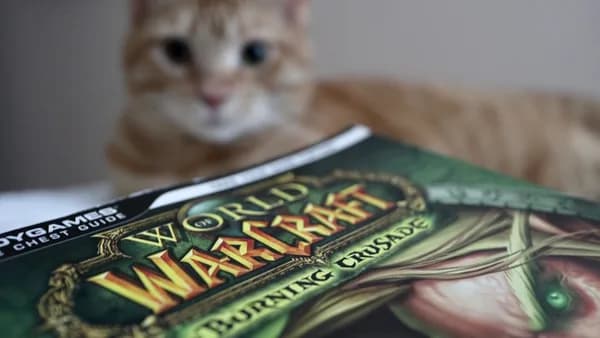 brown tabby cat on green and white textile
