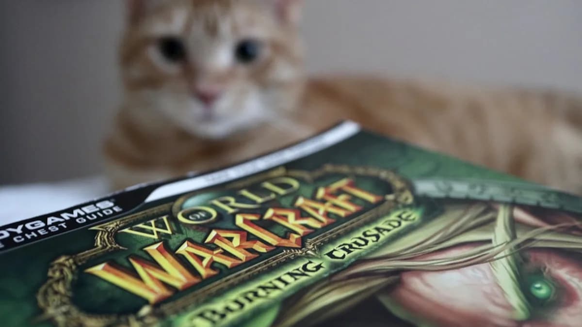 brown tabby cat on green and white textile