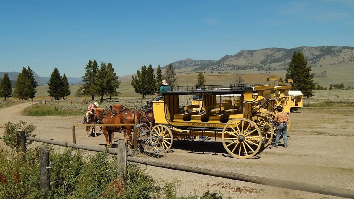 a horse drawn carriage on a dirt road