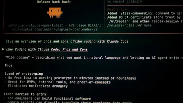 Computer screen displaying code and text