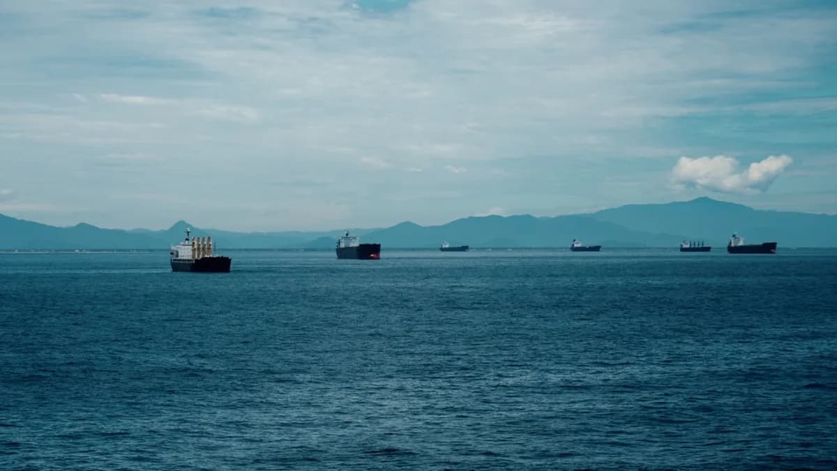 a group of boats in the water