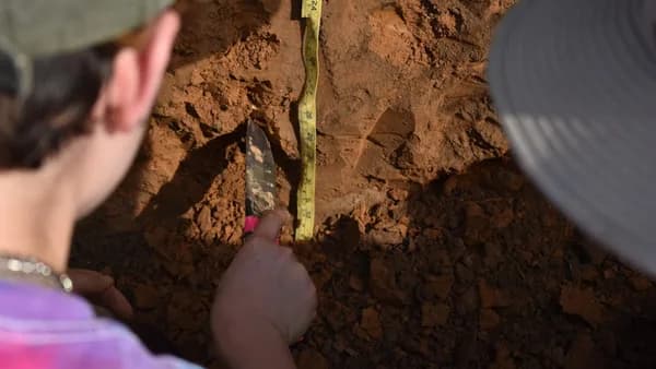 People are examining the soil with a measuring tape.