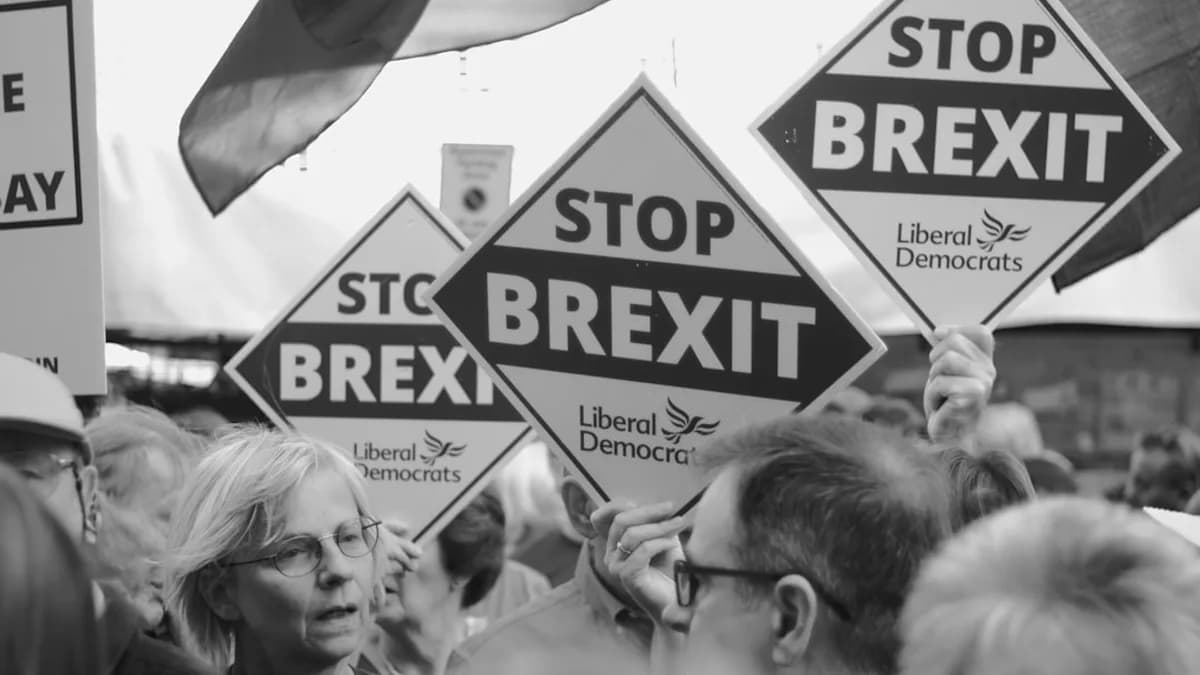 People holding "stop brexit" signs at a rally.