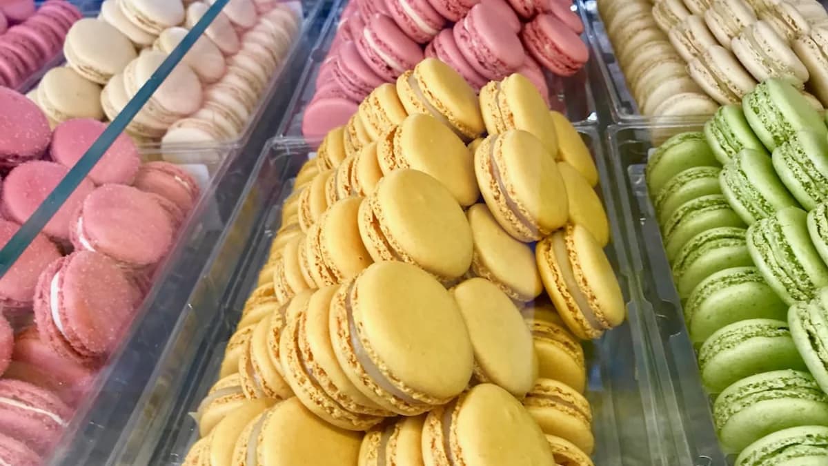 macarons lot