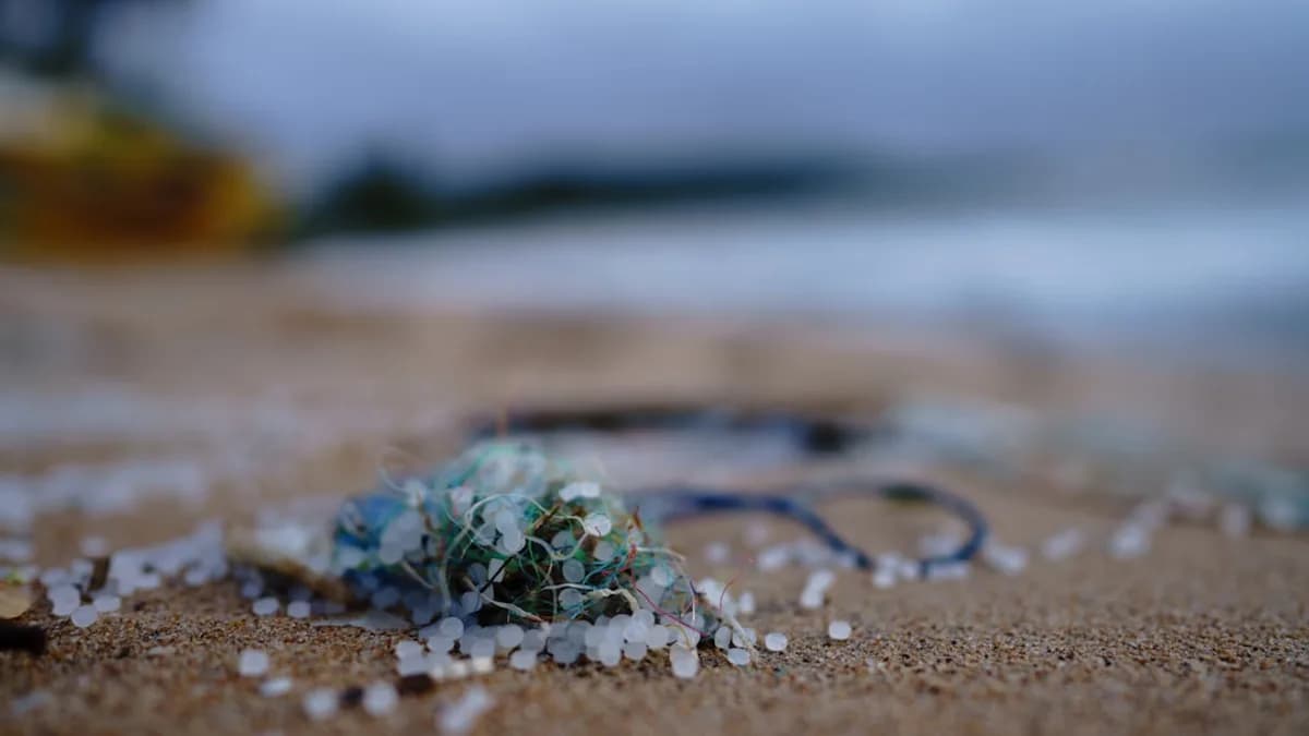 green and brown stone on brown sand
