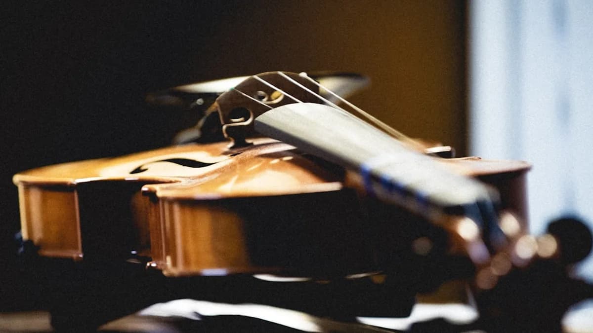 brown violin on black table