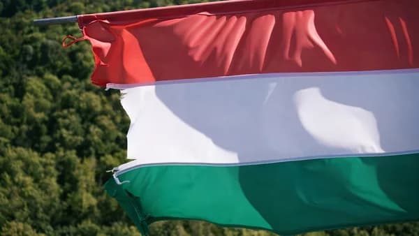 a flag with a red and white cross on it