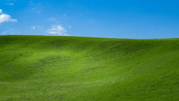 green grass field under blue sky during daytime