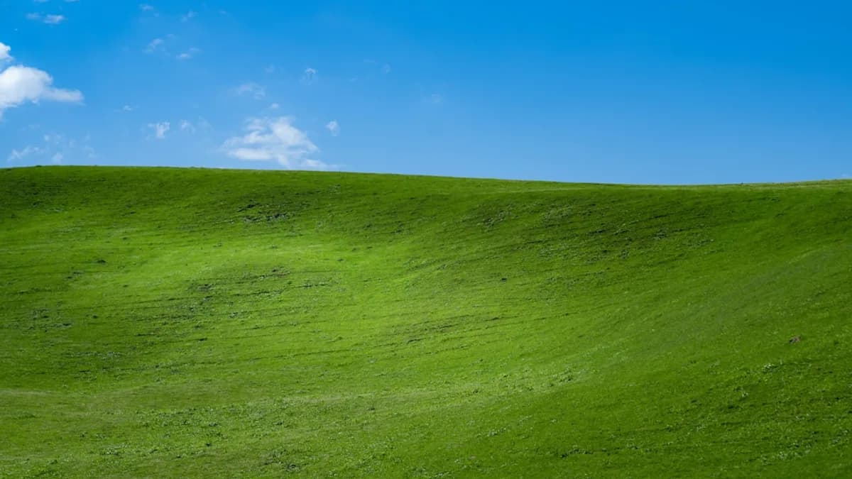 green grass field under blue sky during daytime