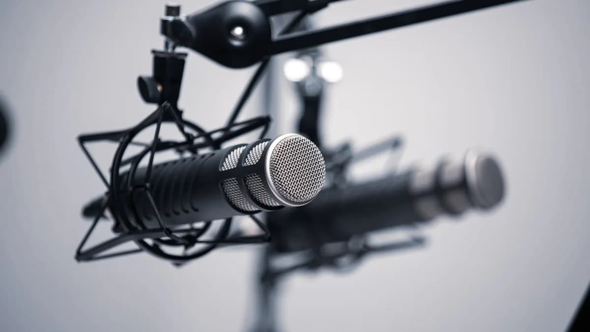 black and grey condenser microphone