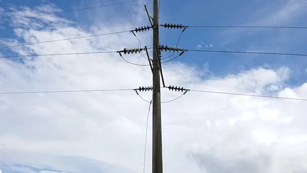 A telephone pole in the middle of a grassy field