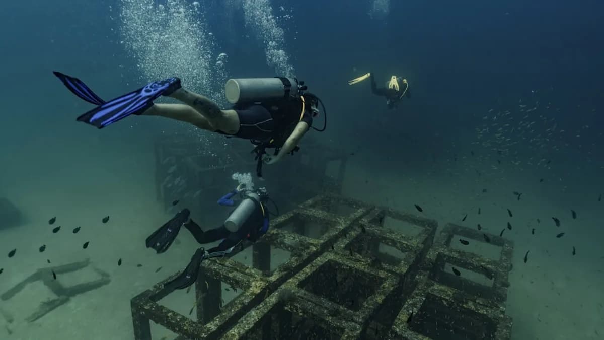 Scuba divers explore underwater structures with bubbles.