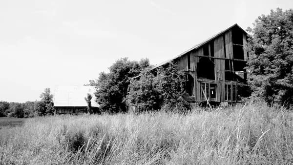 greyscale photo of shed