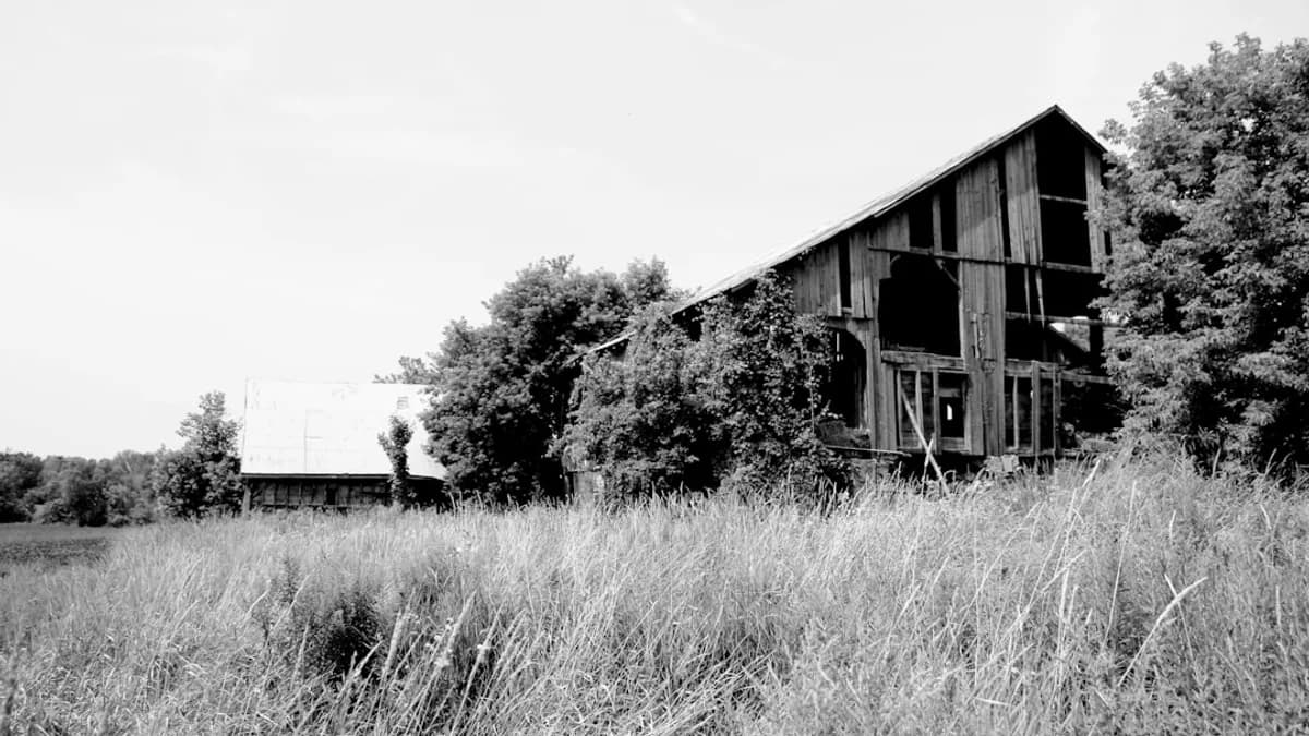 greyscale photo of shed