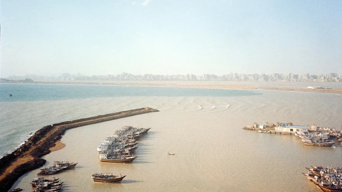 a large body of water filled with lots of boats
