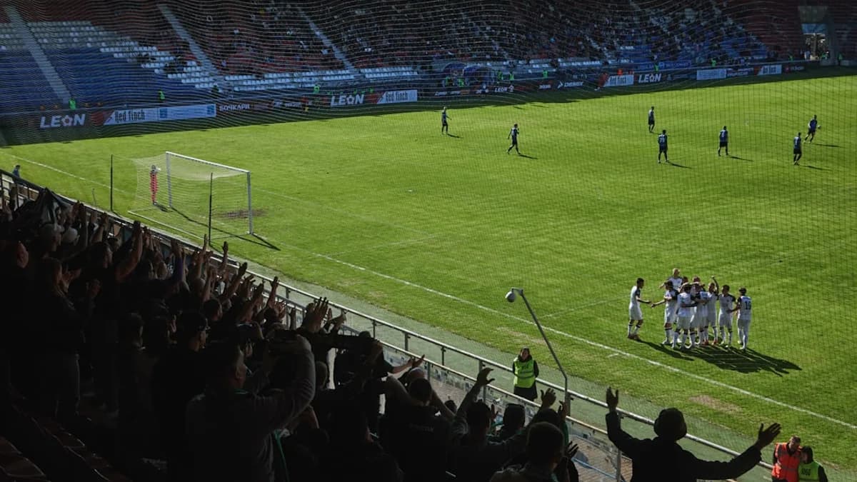Soccer players celebrate on a grassy field with cheering fans.