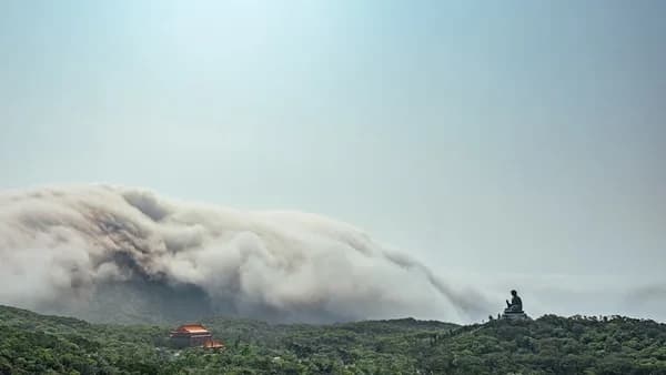 forest fire near temple