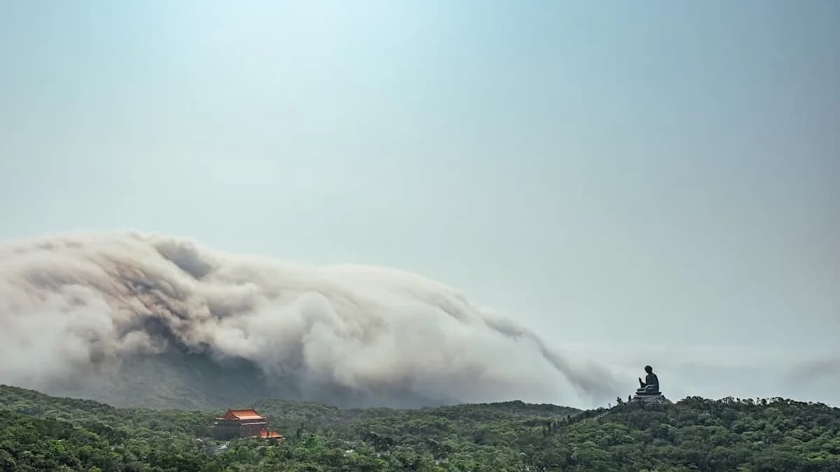 forest fire near temple