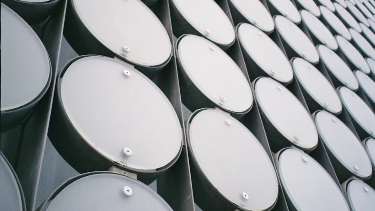 a group of black and white circles