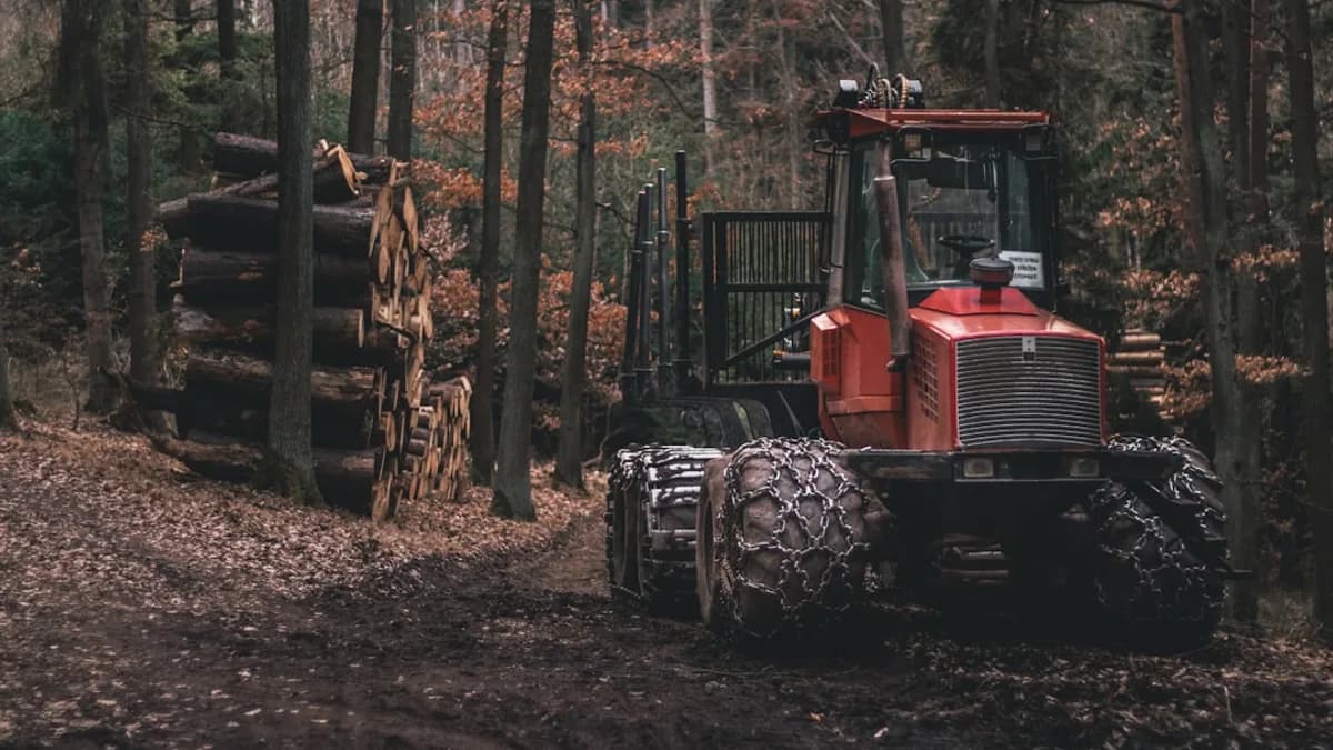 red tractor parked under brown trees