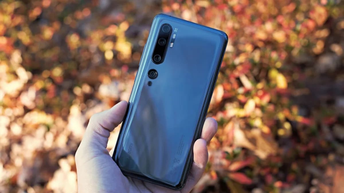 person holding blue android smartphone