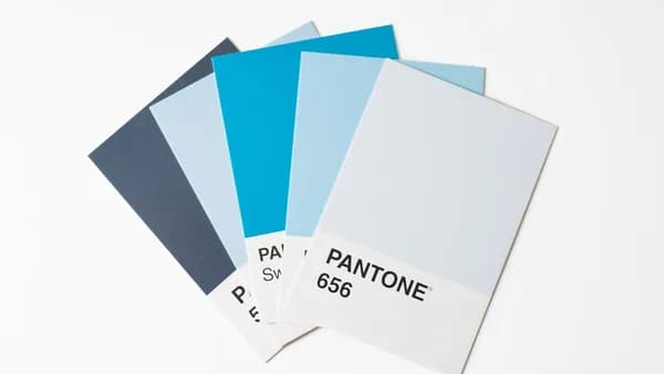 A pantone color swatch with a white background