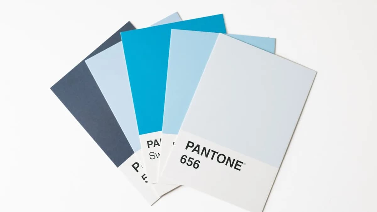 A pantone color swatch with a white background