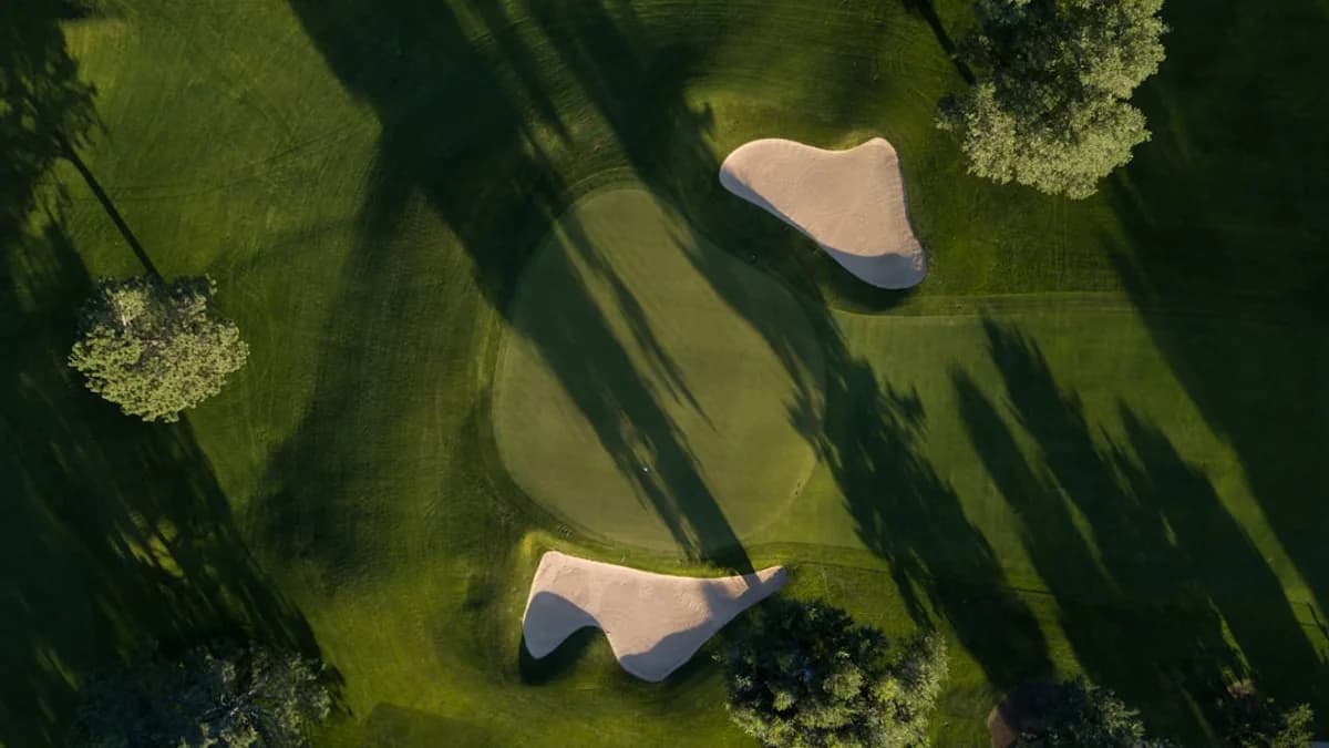 bird's eye photo of grass field