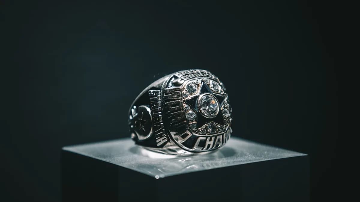 black and silver skull ornament