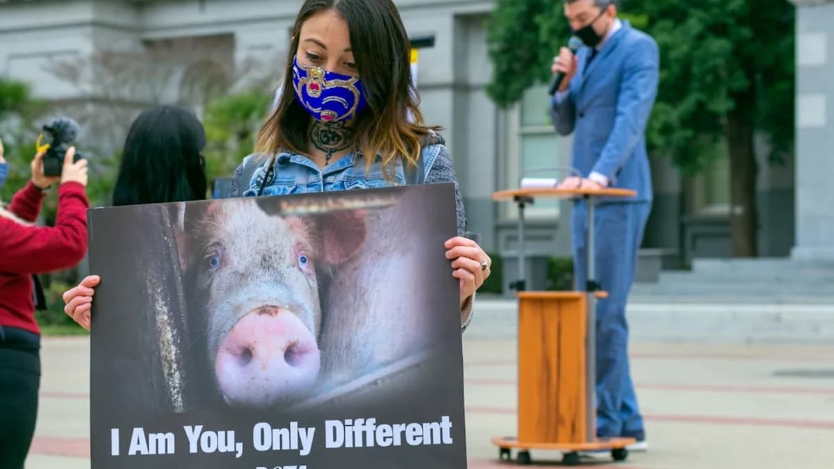 woman in blue long sleeve shirt standing beside man in blue dress shirt