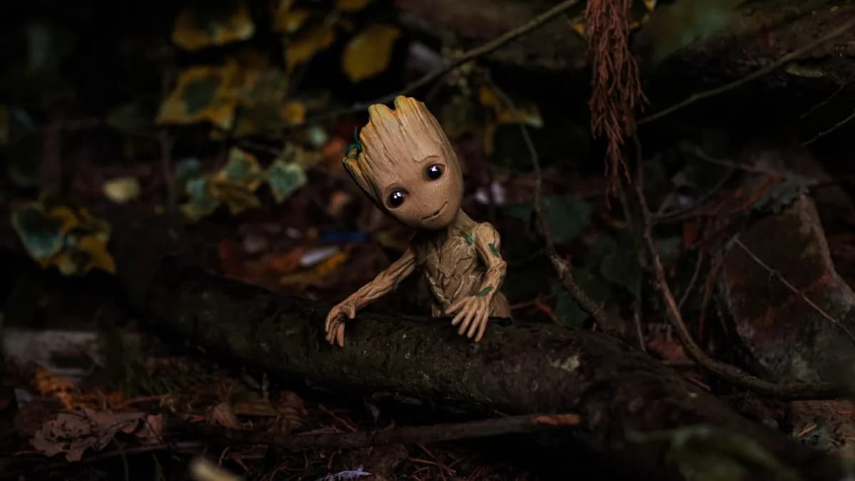 a small baby groote sitting on a log in the woods