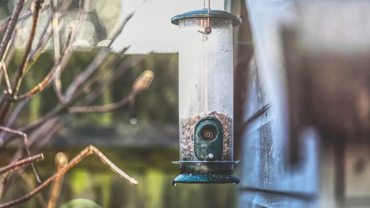 a bird feeder hanging from the side of a building