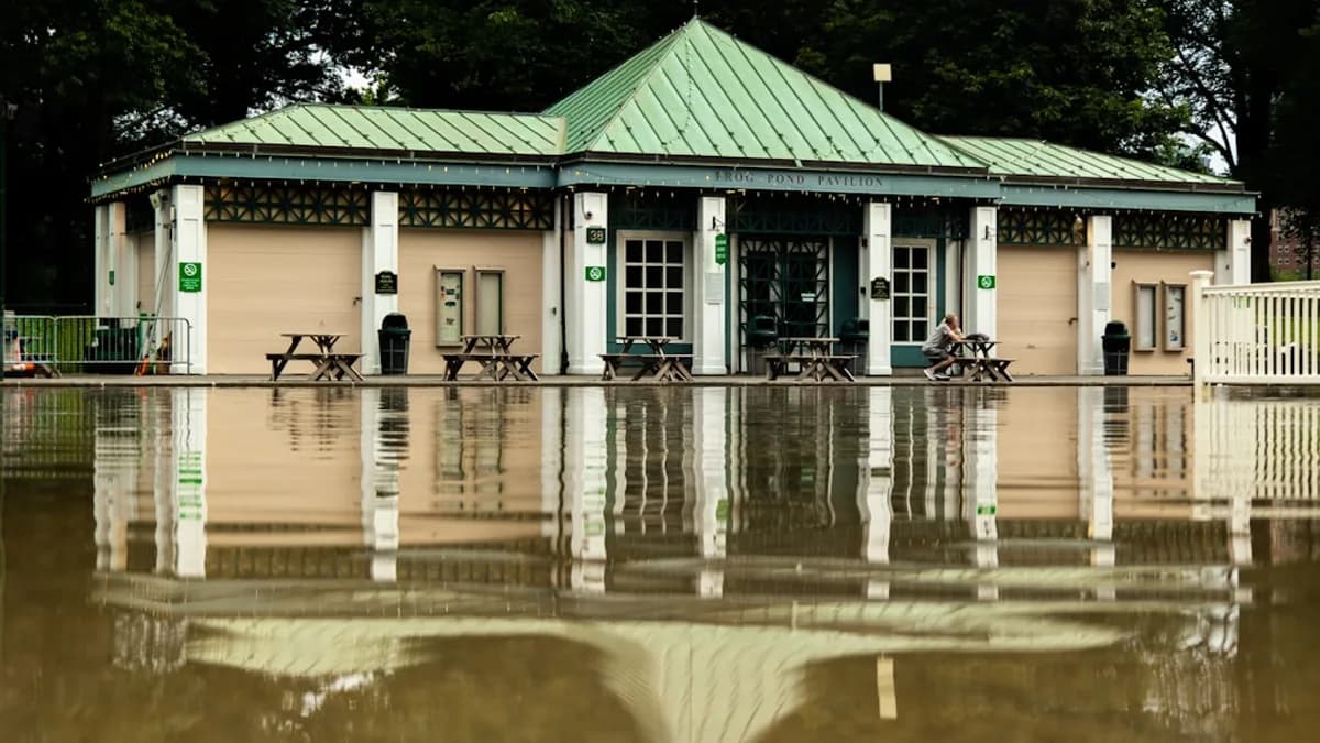green and white wooden house on water