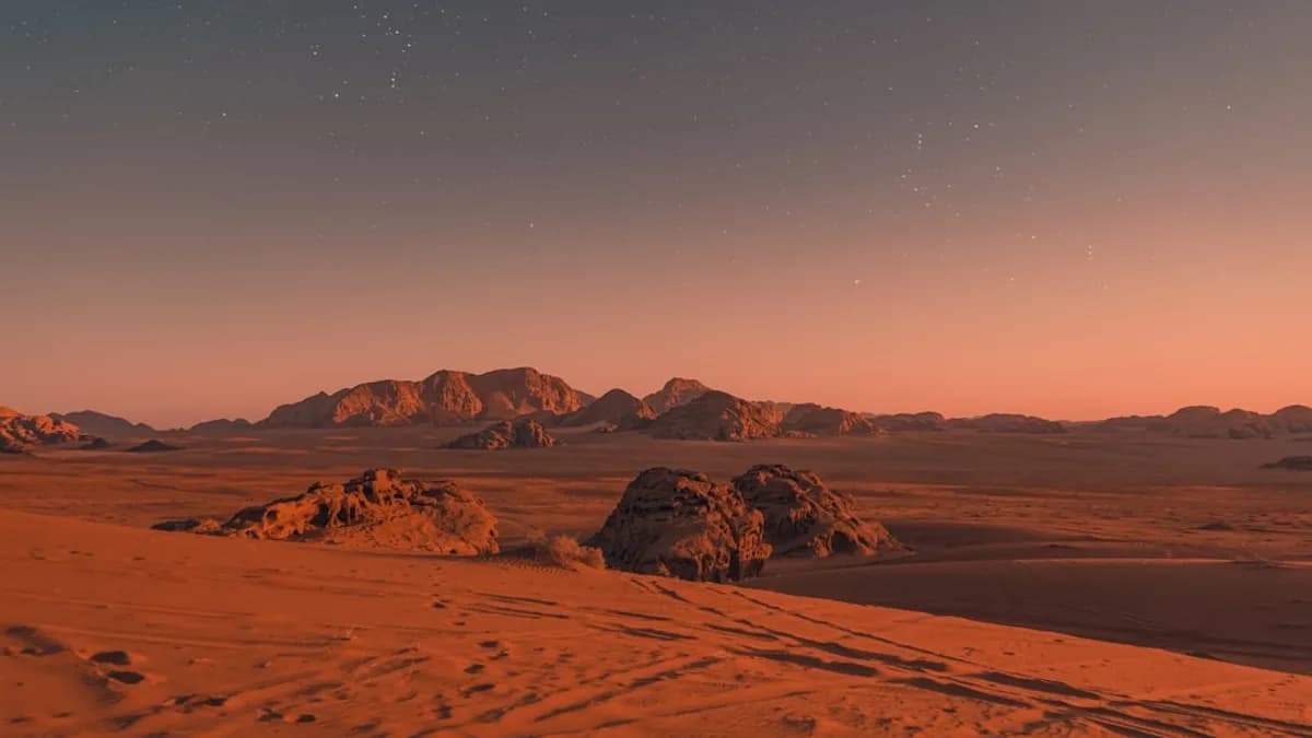 brown sand under blue sky during night time