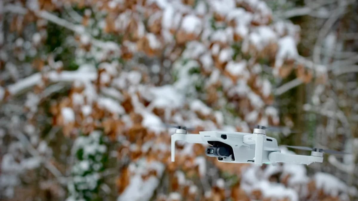 white drone flying over the trees