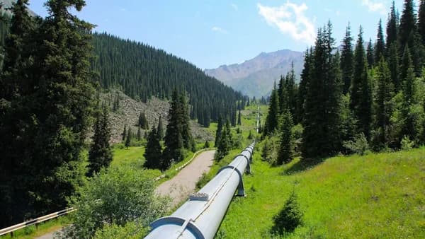 A pipeline runs through a lush, green mountain.