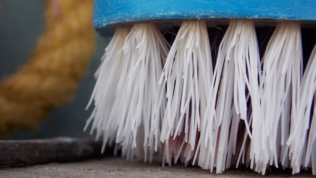Close-up of a blue brush with white bristles.