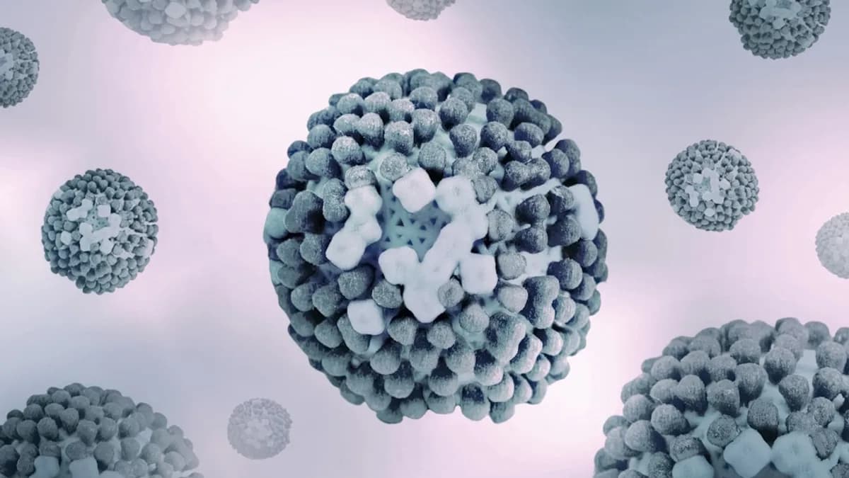 a close up of a bunch of balls of stuff