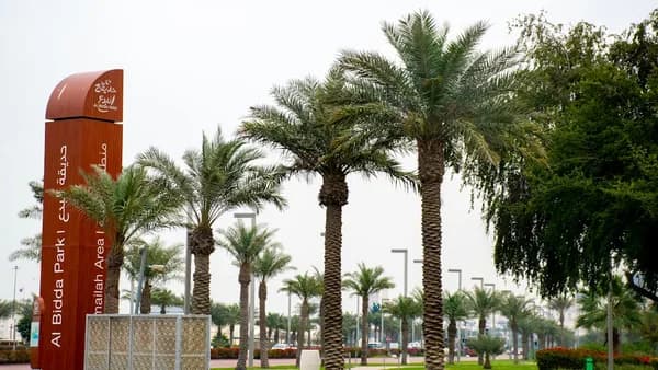 Palm trees line a park pathway with a sign.