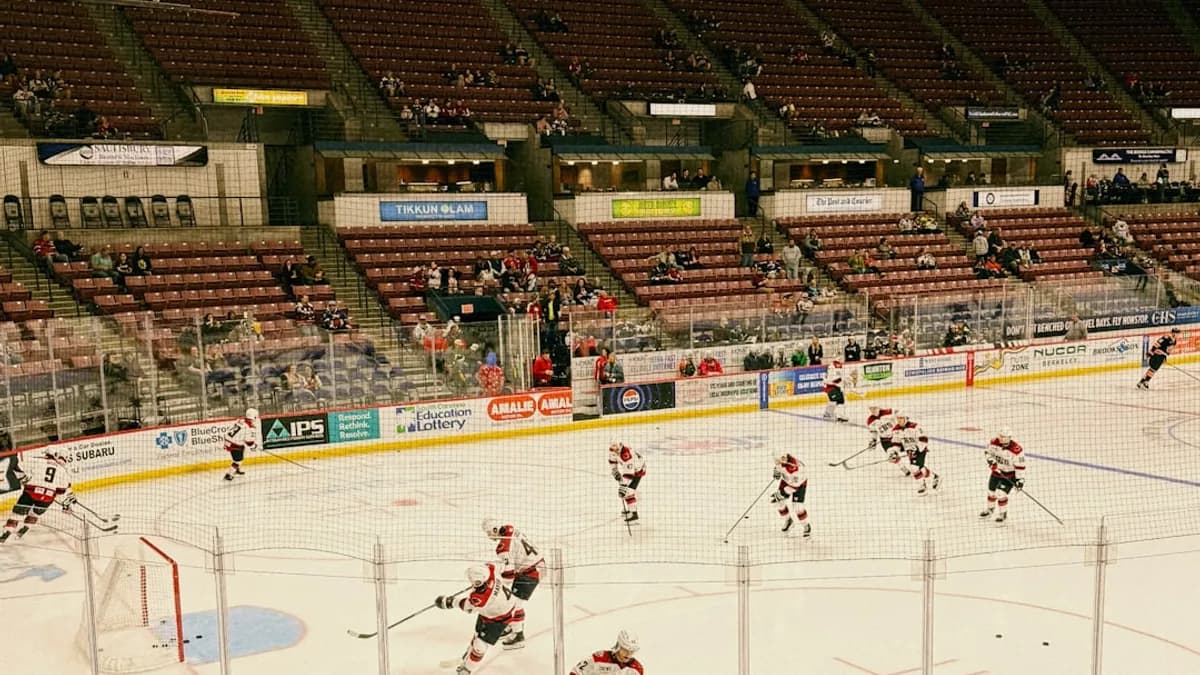 Hockey players compete on an ice rink with spectators watching.