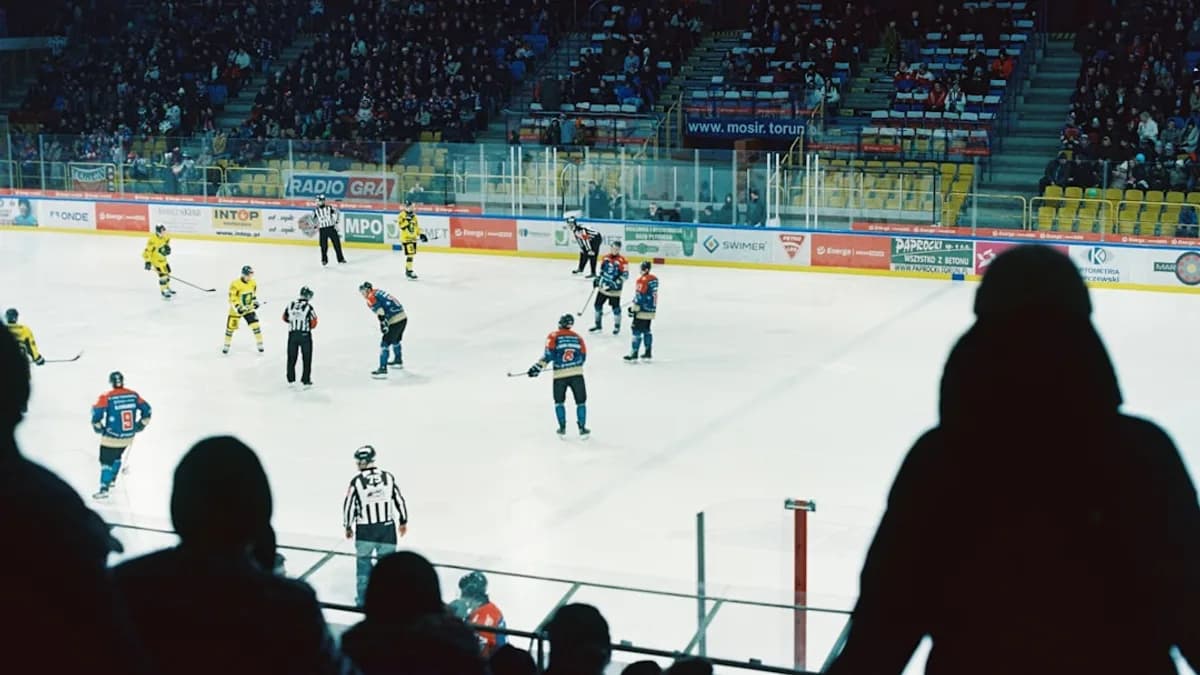 Hockey players and referees are on the ice.